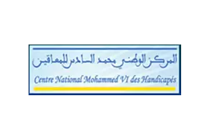 Centre Mohammed VI
